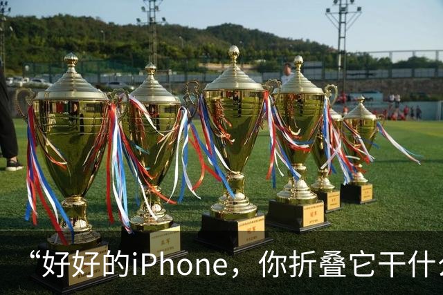 “好好的iPhone，你折叠它干什么玩意儿呢？”