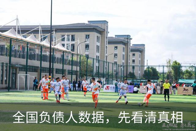 全国负债人数据，先看清真相