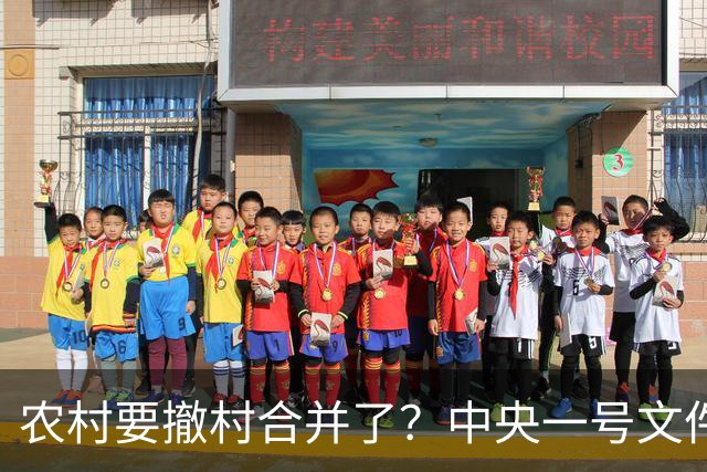 农村要撤村合并了？中央一号文件明确规定，农民必须有发言权