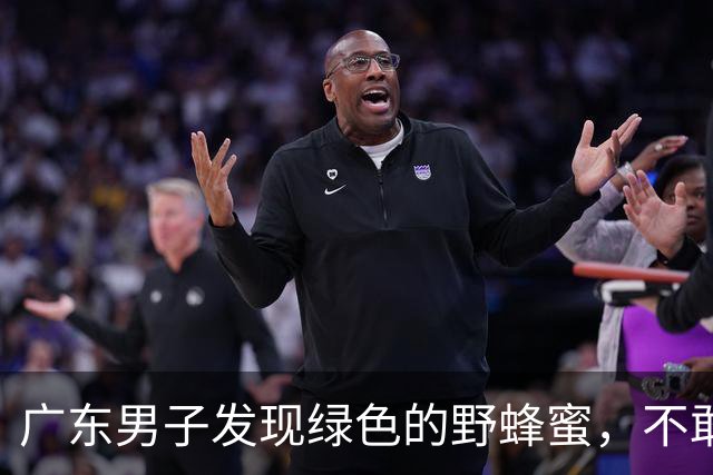 广东男子发现绿色的野蜂蜜，不敢吃怕有害，网友：极品！药用价值高！