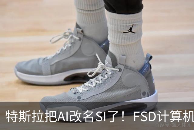 特斯拉把AI改名SI了！FSD计算机将启用新名称 车主手册已经悄悄改