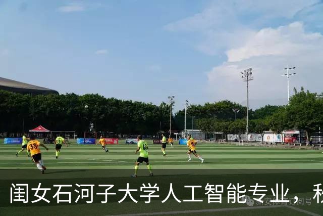 闺女石河子大学人工智能专业，秋招跑了大半个中国